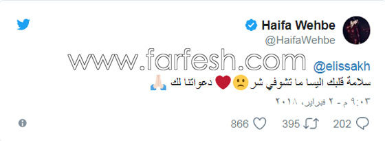 بالفيديو: اليسا تفقد الوعي على المسرح في دبي فجأة وسط صراخ الجمهور صورة رقم 5