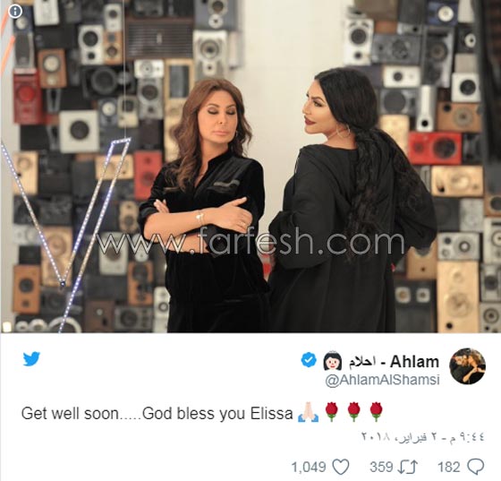 بالفيديو: اليسا تفقد الوعي على المسرح في دبي فجأة وسط صراخ الجمهور صورة رقم 2