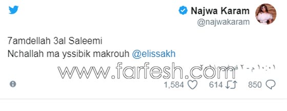 بالفيديو: اليسا تفقد الوعي على المسرح في دبي فجأة وسط صراخ الجمهور صورة رقم 3