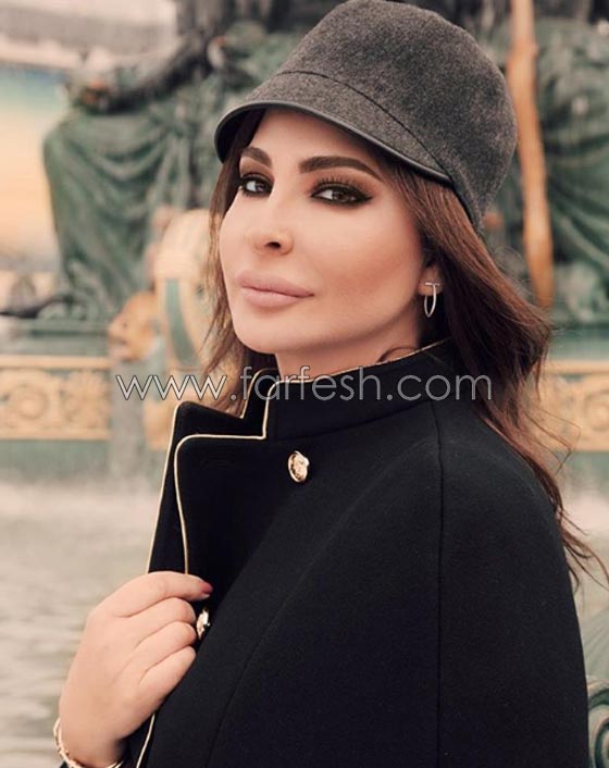 بالفيديو: اليسا تفقد الوعي على المسرح في دبي فجأة وسط صراخ الجمهور صورة رقم 11