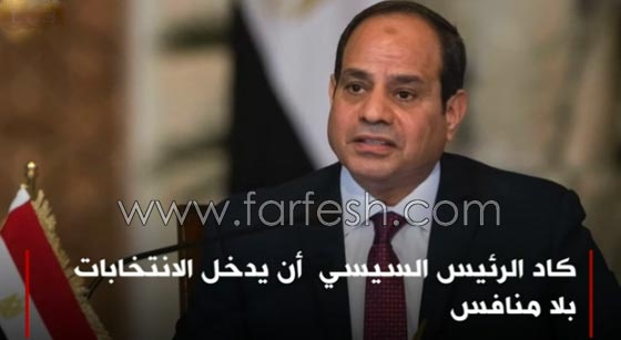 كيف تقلص عدد المرشحين في الانتخابات المصرية؟ صورة رقم 11 كيف تقلص عدد المرشحين في الانتخابات المصرية؟ صورة رقم 11