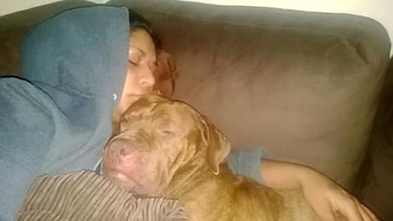 صور مؤلمة: وحشية كلب ربته صاحبته 9 سنوات، فأكل ذراعها في 9 دقائق! صورة رقم 6 صور مؤلمة: وحشية كلب ربته صاحبته 9 سنوات، فأكل ذراعها في 9 دقائق! صورة رقم 6