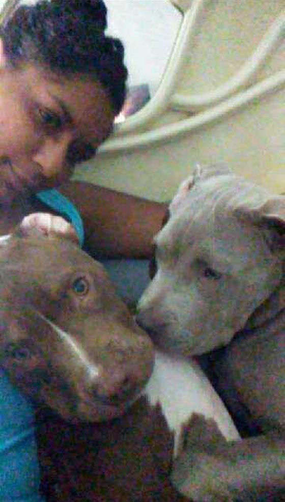 صور مؤلمة: وحشية كلب ربته صاحبته 9 سنوات، فأكل ذراعها في 9 دقائق! صورة رقم 16 صور مؤلمة: وحشية كلب ربته صاحبته 9 سنوات، فأكل ذراعها في 9 دقائق! صورة رقم 16