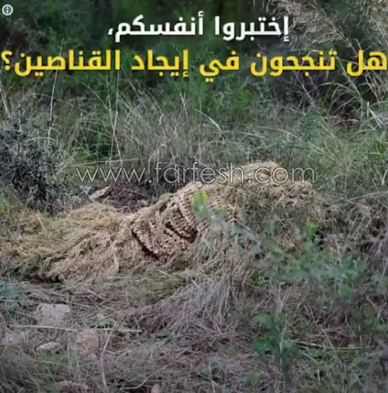 بهذه الطريقة يتخفى قناصة الجيش الإسرائيلي صورة رقم 2 بهذه الطريقة يتخفى قناصة الجيش الإسرائيلي صورة رقم 2
