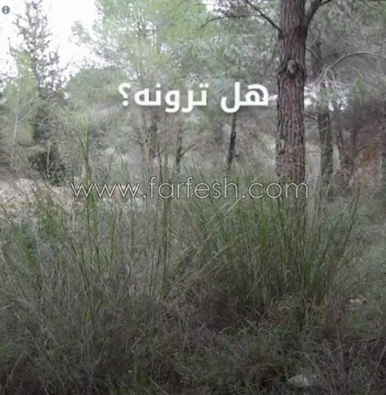 بهذه الطريقة يتخفى قناصة الجيش الإسرائيلي صورة رقم 4 بهذه الطريقة يتخفى قناصة الجيش الإسرائيلي صورة رقم 4