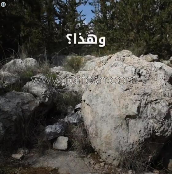 بهذه الطريقة يتخفى قناصة الجيش الإسرائيلي صورة رقم 5 بهذه الطريقة يتخفى قناصة الجيش الإسرائيلي صورة رقم 5