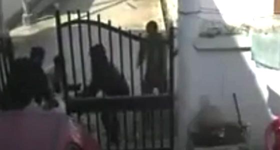 بالفيديو.. هندية تنقذ زوجها من عصابة هاجمته امام المنزل صورة رقم 2 بالفيديو.. هندية تنقذ زوجها من عصابة هاجمته امام المنزل صورة رقم 2