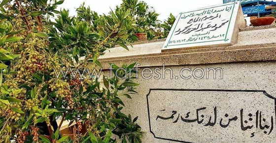 مواقف غريبة للنجوم في عيد الحب: زيارة المقابر وتناول البصل صورة رقم 8