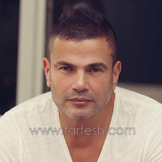 دينا الشربيني في رد فعل جنوني بعد عودة عمرو دياب لزوجته صورة رقم 8