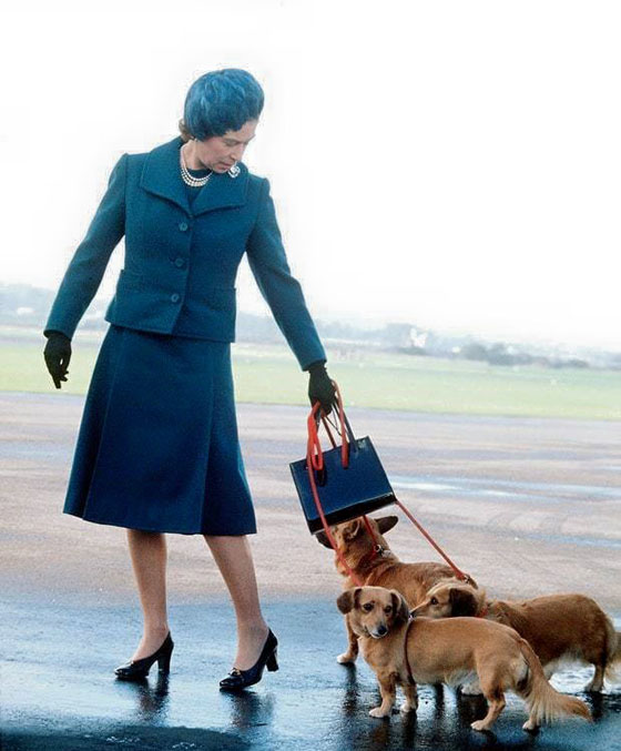 الملكة إليزابيث تستعمل الحقيبة نفسها منذ 60 عامًا..والسبب؟ صورة رقم 4 الملكة إليزابيث تستعمل الحقيبة نفسها منذ 60 عامًا..والسبب؟ صورة رقم 4