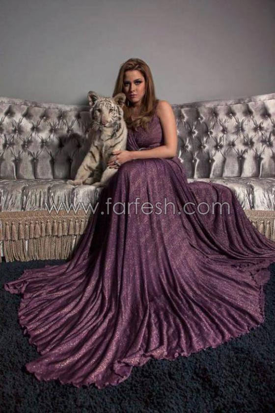  فيديو وصور زفاف الملحن المصري محمد رحيم من مروّضة الأسود صورة رقم 6