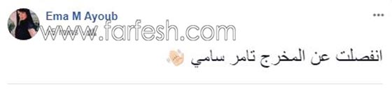  فنانات عربيات أعلن انفصالهن عن أزواجهن على فيس بوك صورة رقم 3