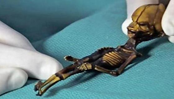 فك لغز جثة كائن فضائي غريب برأس مخروطي عثر عليه في الصحراء صورة رقم 3 فك لغز جثة كائن فضائي غريب برأس مخروطي عثر عليه في الصحراء صورة رقم 3