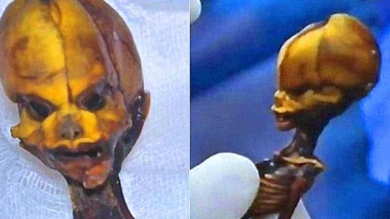 فك لغز جثة كائن فضائي غريب برأس مخروطي عثر عليه في الصحراء صورة رقم 4 فك لغز جثة كائن فضائي غريب برأس مخروطي عثر عليه في الصحراء صورة رقم 4