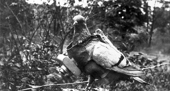 بالصور.. تعرفوا على أبرز طائرات الاستطلاع عبر التاريخ صورة رقم 1 بالصور.. تعرفوا على أبرز طائرات الاستطلاع عبر التاريخ صورة رقم 1