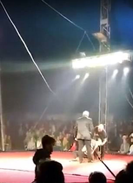  فيديو يحبس الانفاس: مقدم سيرك روسي يسقط من ارتفاع 30 قدما! صورة رقم 3