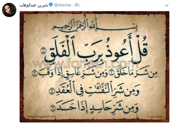 قبل زفافهما بساعات، شيرين عبد الوهاب وحسام حبيب خائفان من الحسد صورة رقم 2