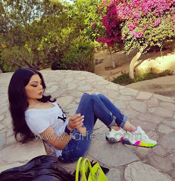 ظروف قاسية تلاحق هيفاء وهبي فهل سيتوقف مسلسل (لعنة كارما)؟ صورة رقم 5