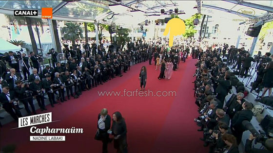 !فيديو اليسا بإطلالة مبهرة في (مهرجان كان)، لكن المصورين يتجاهلوها  صورة رقم 4