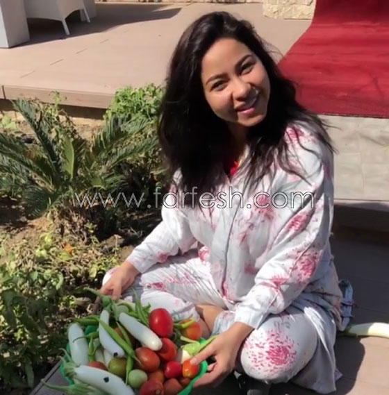 شيرين عبد الوهاب بالبيجاما في حديقة منزلها تقطف الخضار لإعداد الإفطار صورة رقم 2