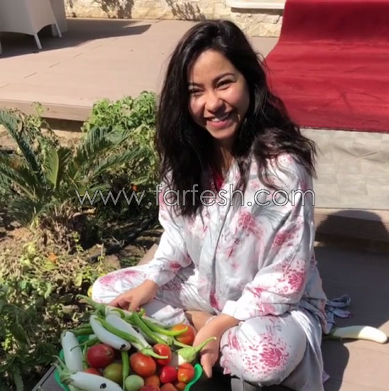 شيرين عبد الوهاب بالبيجاما في حديقة منزلها تقطف الخضار لإعداد الإفطار صورة رقم 3