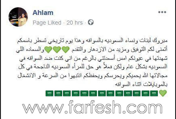  الهجوم على أحلام، نادين نجيم وهبة طوجي بسبب مواقفهن من المرأة السعودية صورة رقم 13