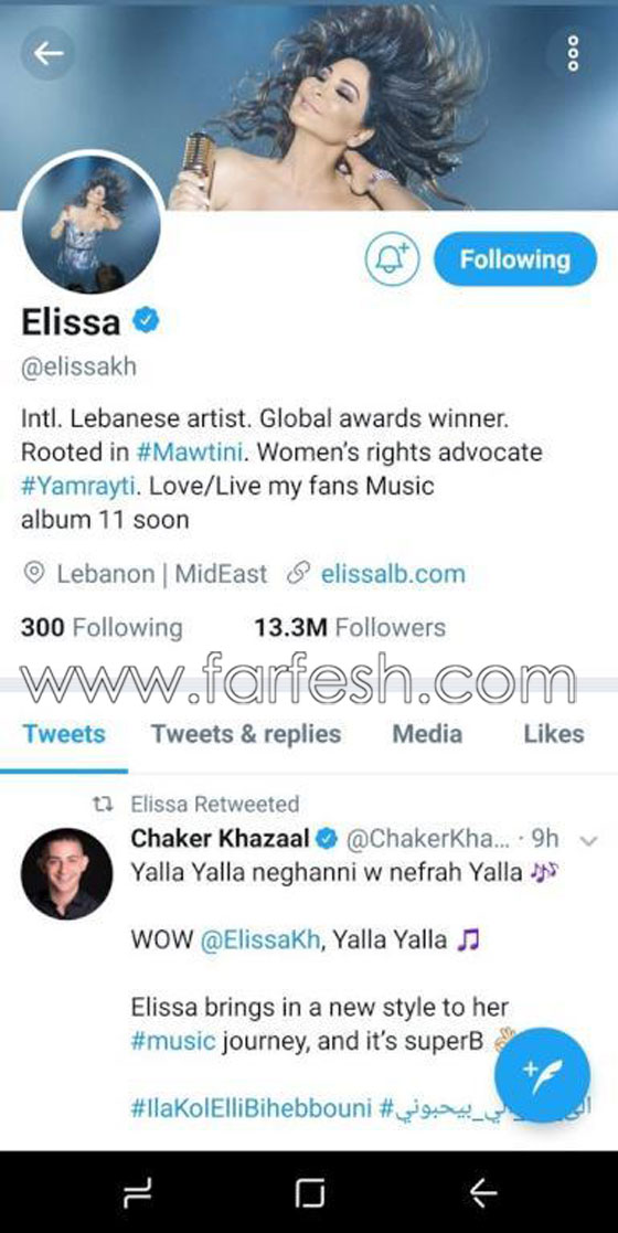  فضائح النجوم العرب وخسارة ملايين المتابعين الوهميين بعد حملة تطهير تويتر! صورة رقم 5
