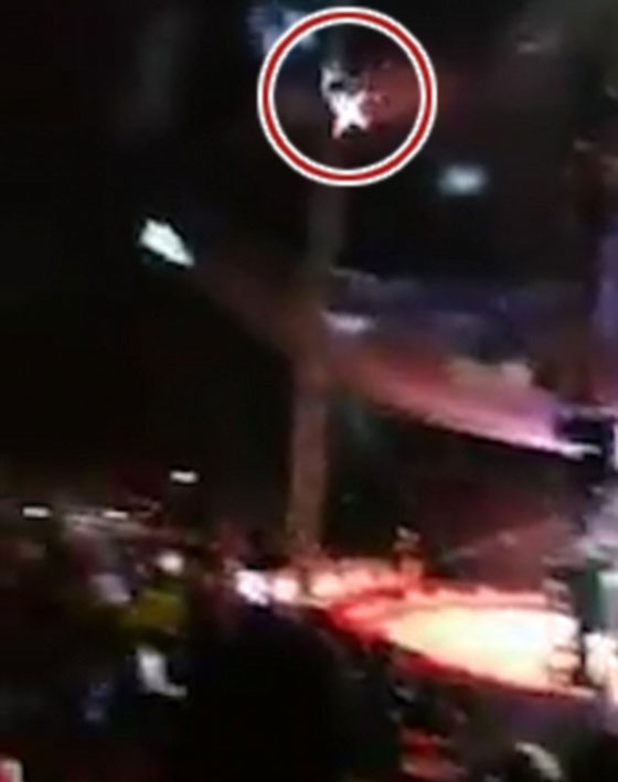 فيديو مرعب لرجل يتحول لقذيفة بشرية في سيرك أمريكي صورة رقم 2