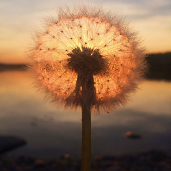  الصور الفائزة بجوائز أفضل تصوير بواسطة آيفون لسنة 2018 صورة رقم 21