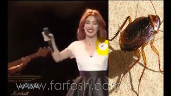  بالفيديو: ماذا فعلت سهيلة بن لشهب على المسرح حين تمشى صرصار على كتفها؟ صورة رقم 1