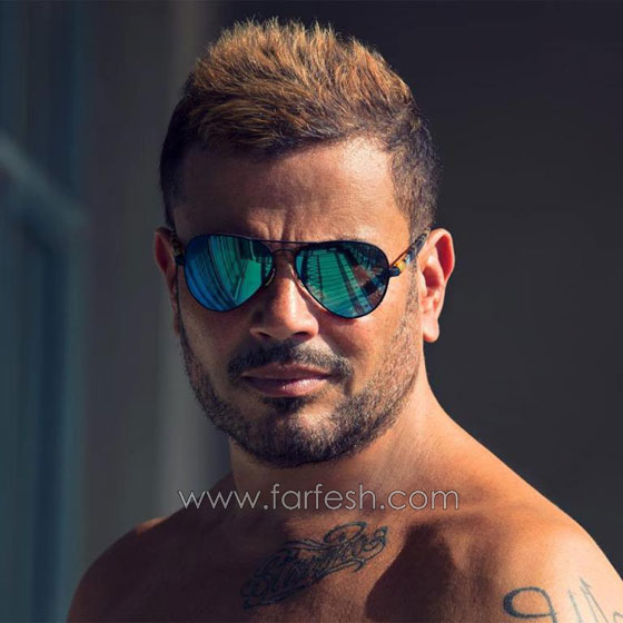 هل معقول ان يعلن عمرو دياب عن علاقة حب وصداقة مع دينا الشربيني دون زواج؟ صورة رقم 8