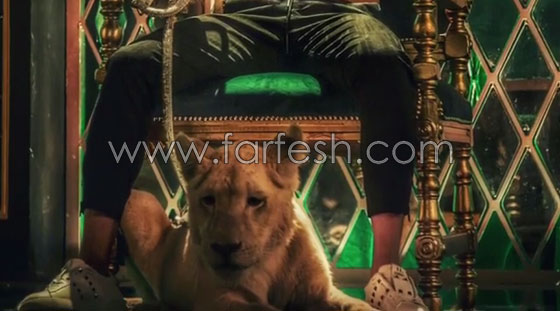 هجوم قاسي على محمد رمضان: بعد نمبر وان طرح فيديو (أنا ملك الغابة) صورة رقم 5