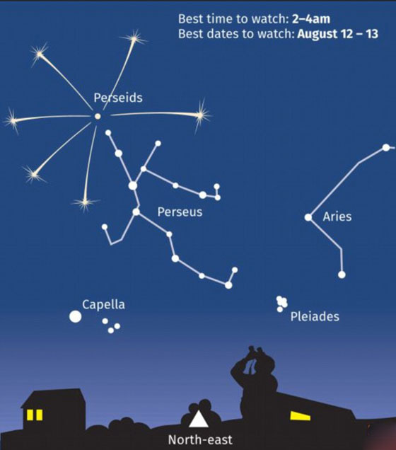 بالفيديو والصور.. لقطات مدهشة لزخة الشهب السماوية صورة رقم 20 بالفيديو والصور.. لقطات مدهشة لزخة الشهب السماوية صورة رقم 20