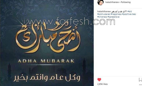 كيف عايد الفنانون جمهورهم بمناسبة عيد الاضحى؟ صورة رقم 4