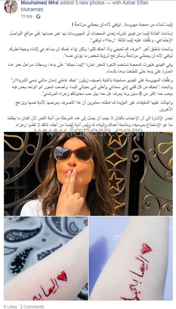 لماذا قالت إليسا لإحدى معجباتها: توقفي أرجوكِ! صورة رقم 7