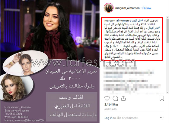 الاعلامية مي العيدان في ورطة والحكم عليها بتهمة السب والقذف لفنانة شابة! صورة رقم 1