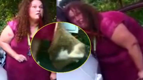 فيديو صادم.. امرأة تركية تصطاد القطط وتحولهم إلى شاورما للسوريين! صورة رقم 3