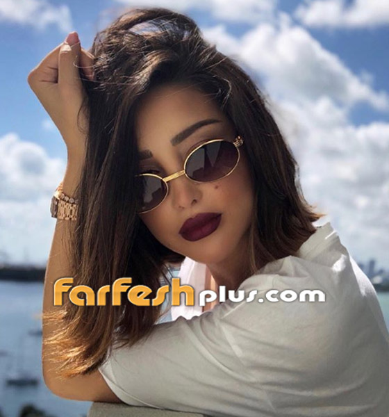 بعد هجوم جليلة المغربية عليها، بسمة بوسيل تنشر صورة طفلها (آدم تامر حسني) صورة رقم 14