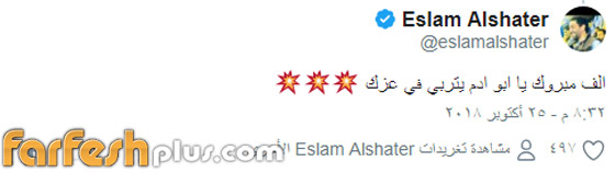 الفنانون يهنئون تامر حسني وزوجته بسمة بوسيل بمولودهما الجديد آدم صورة رقم 6