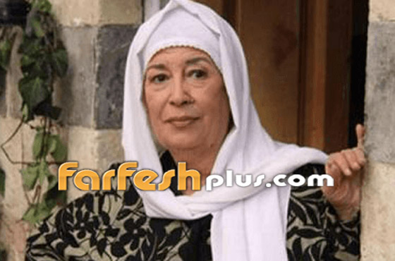 فيديو منى واصف: أرفض عمليات التجميل لإزالة تجاعيدي لأبدو كمراهقة! صورة رقم 8