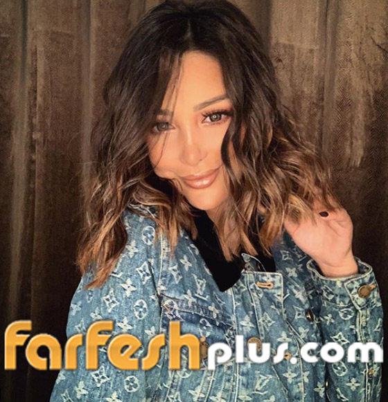 فيديو وصور جليلة المغربية (عدوّة) بسمة بوسيل بسبب تامر حسني!  صورة رقم 3