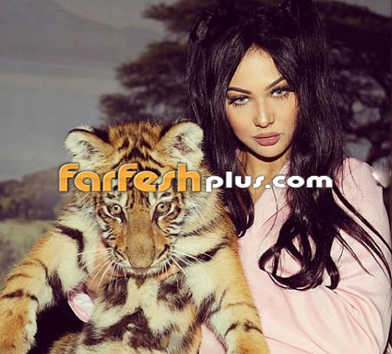 إبتسام تسكت نجمة ستار اكاديمي تُغني بالمصرية.. وتصوير الكليب في لبنان صورة رقم 5