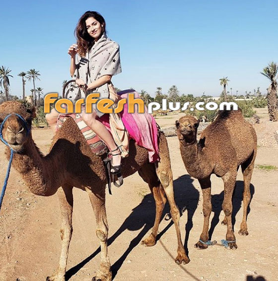  بالفيديو: نجمة عالمية تشيد بسائق اجرة مغربي ومبادرته الانسانية صورة رقم 13