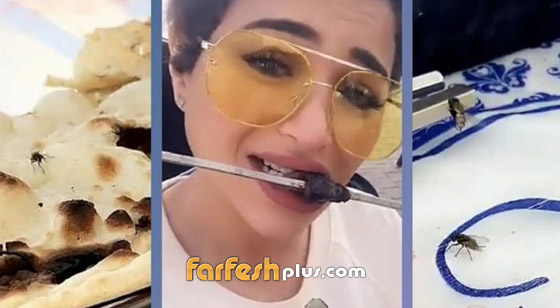  نهى نبيل بعد فيديو مقزز تأكل فيه اللحم وسط الذباب: الذبّان أنظف منكم! صورة رقم 1
