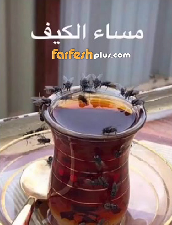  نهى نبيل بعد فيديو مقزز تأكل فيه اللحم وسط الذباب: الذبّان أنظف منكم! صورة رقم 2
