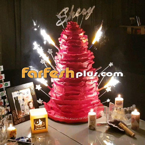 صور شريهان من حفل عيد ميلادها الـ54 ولماذا قالت (أنا مش مبسوطة)؟ صورة رقم 4