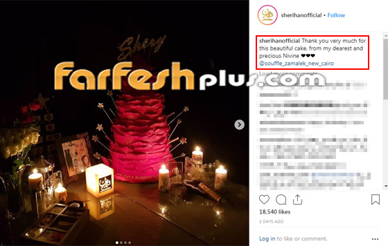 صور شريهان من حفل عيد ميلادها الـ54 ولماذا قالت (أنا مش مبسوطة)؟ صورة رقم 3