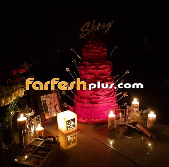 صور شريهان من حفل عيد ميلادها الـ54 ولماذا قالت (أنا مش مبسوطة)؟ صورة رقم 7