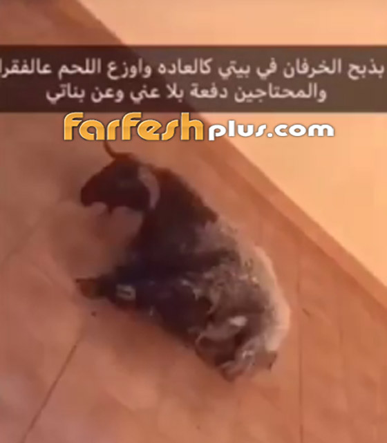 بالفيديو: كيف أثارت الاعلامية الكويتية حليمة بولند جمهورها بـ (3 خرفان)! صورة رقم 1