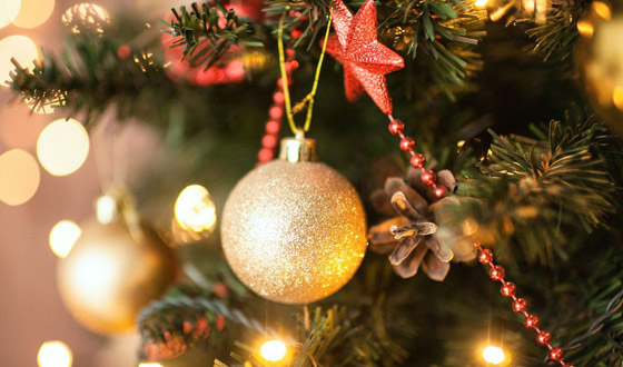 هل تعرفون كيف بدأت شجرة الكريسماس؟ تعرفوا إلى حكاية شجرة الميلاد صورة رقم 2 هل تعرفون كيف بدأت شجرة الكريسماس؟ تعرفوا إلى حكاية شجرة الميلاد صورة رقم 2